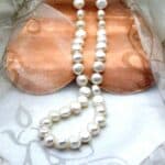 White Freshwater Button Shape Pearl Necklace finished with a Double Sided Sterling Silver Clasp